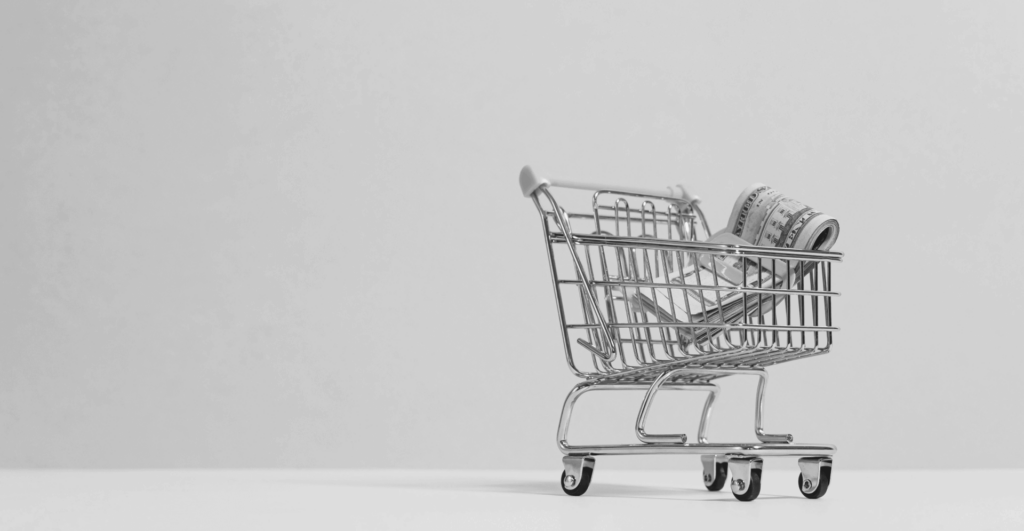 This image of a shopping trolley with cash in it illustrates this discussion topic: A counterfeits definition, and what it means for brands in the fight agains counterfeiting.