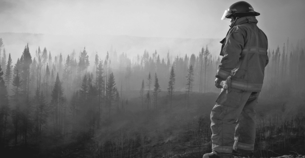 This image of a firefighter standing guard over a forest highlights the importance of domain portfolio management for growing businesses.